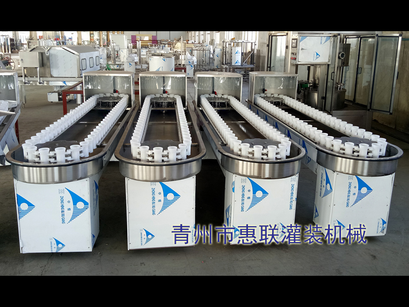  鏈軌式洗瓶機(jī)廠(chǎng)家